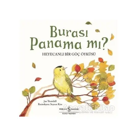 Burası Panama mı? - Jan Thornhill - İş Bankası Kültür Yayınları