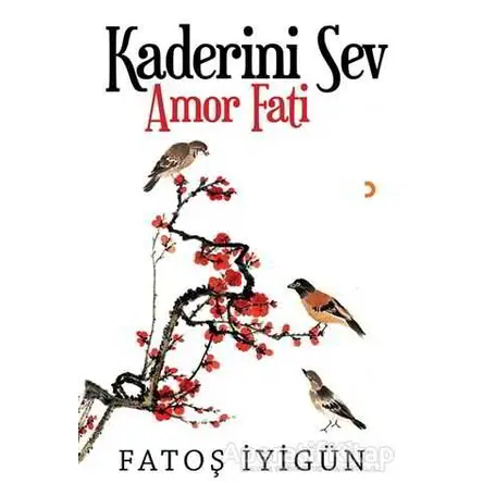Kaderini Sev - Fatoş İyigün - Cinius Yayınları