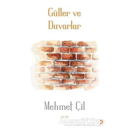 Güller ve Duvarlar - Mehmet Çil - Cinius Yayınları