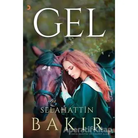 Gel - Selahattin Bakır - Cinius Yayınları