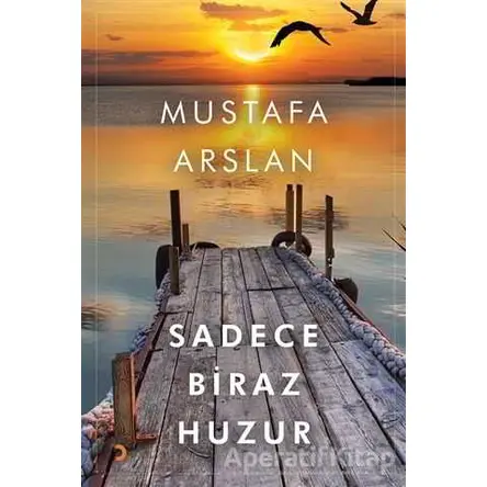 Sadece Biraz Huzur - Mustafa Arslan - Cinius Yayınları