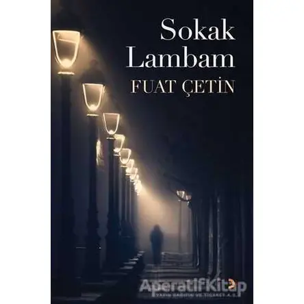 Sokak Lambam - Fuat Çetin - Cinius Yayınları