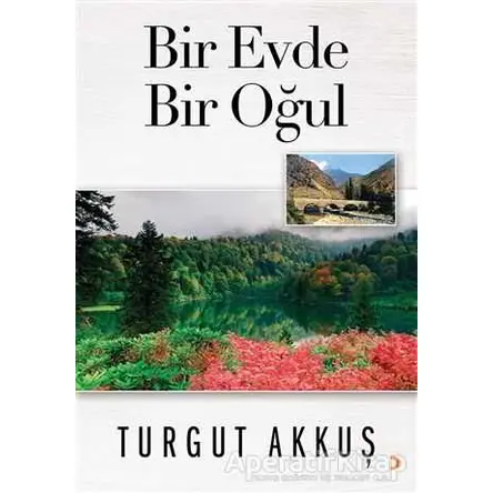 Bir Evde Bir Oğul - Turgut Akkuş - Cinius Yayınları