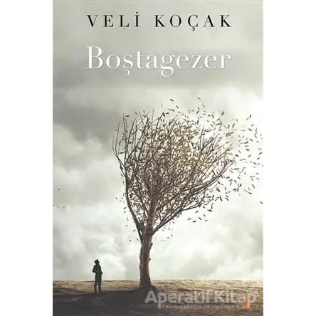 Boştagezer - Veli Koçak - Cinius Yayınları