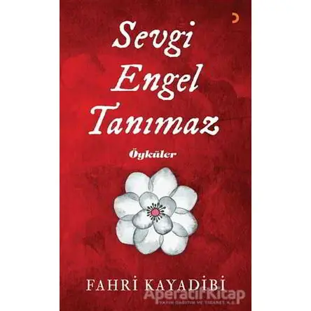 Sevgi Engel Tanımaz - Fahri Kayadibi - Cinius Yayınları