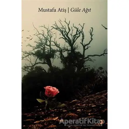 Güle Ağıt - Mustafa Atiş - Cinius Yayınları