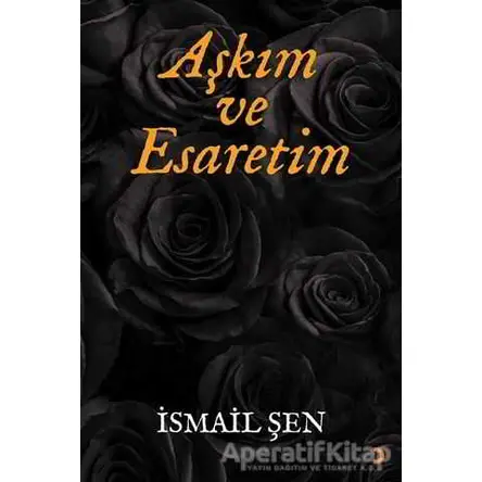 Aşkım ve Esaretim - İsmail Şen - Cinius Yayınları