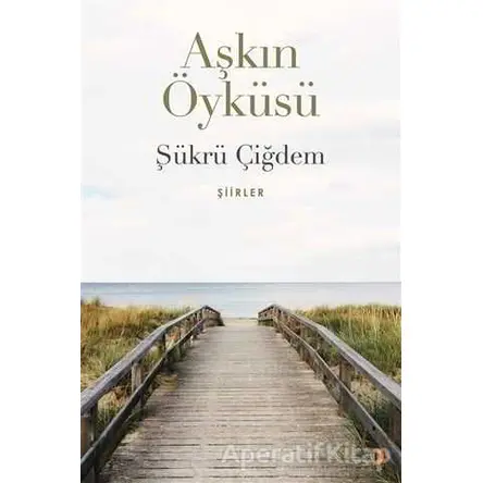 Aşkın Öyküsü - Şükrü Çiğdem - Cinius Yayınları
