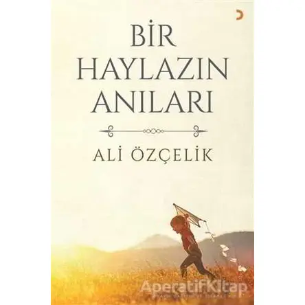 Bir Haylazın Anıları - Ali Özçelik - Cinius Yayınları