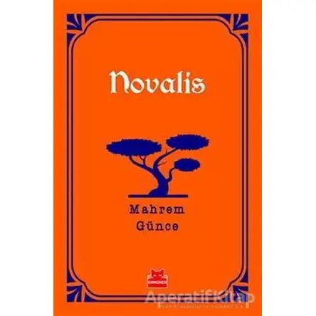 Mahrem Günce - Novalis - Kırmızı Kedi Yayınevi