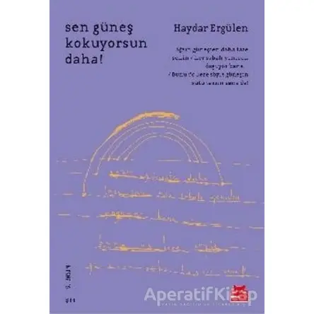 Sen Güneş Kokuyorsun Daha! - Haydar Ergülen - Kırmızı Kedi Yayınevi