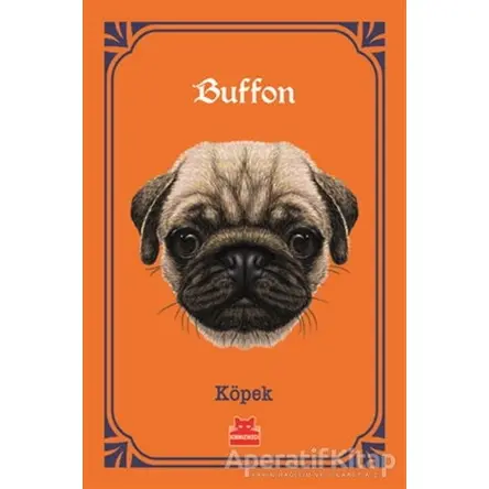 Köpek - Georges-Louis Leclerc Comte de Buffon - Kırmızı Kedi Yayınevi