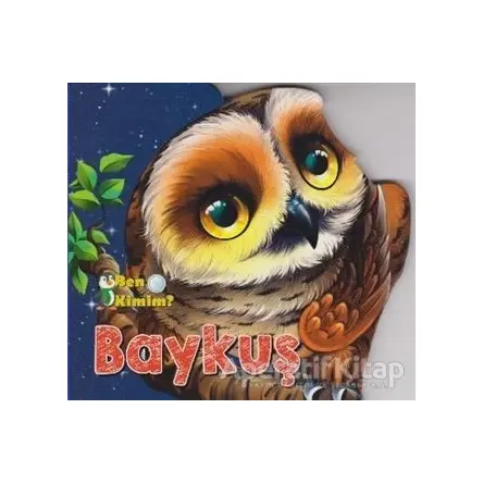 Baykuş - Kolektif - Parıltı Yayınları