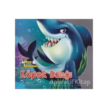 Köpek Balığı - Kolektif - Parıltı Yayınları