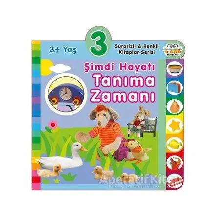 3+ Yaş Şimdi Hayatı Tanıma Zamanı - Kolektif - 0-6 Yaş Yayınları