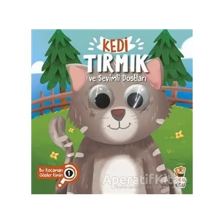 Kedi Tırmık ve Sevimli Dostları - Bu Kocaman Gözler Kimin? 1 - Asiye Aslı Aslaner - Sincap Kitap