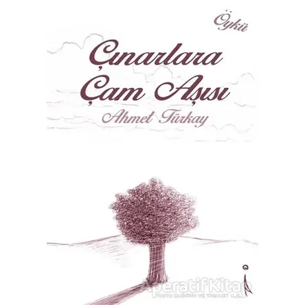 Çınarlara Çam Aşısı - Ahmet Türkay - İkinci Adam Yayınları
