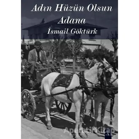 Adın Hüzün Olsun Adana - İsmail Göktürk - İkinci Adam Yayınları