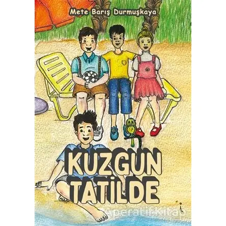 Kuzgun Tatilde - Mete Barış Durmuşkaya - İkinci Adam Yayınları