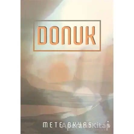 Donuk - Mete Okyay - İkinci Adam Yayınları