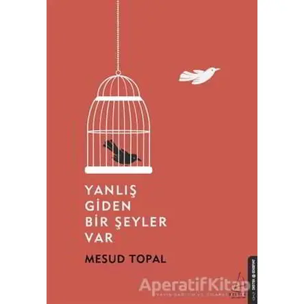 Yanlış Giden Bir Şeyler Var - Mesud Topal - Destek Yayınları