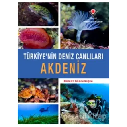 Akdeniz - Türkiyenin Deniz Canlıları - Bülent Gözcelioğlu - TÜBİTAK Yayınları
