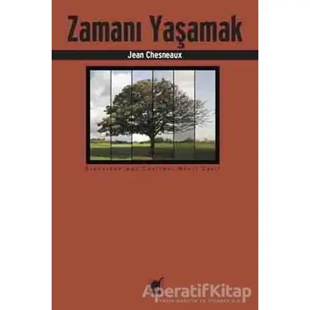 Zamanı Yaşamak - Jean Chesneaux - Ayrıntı Yayınları