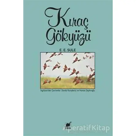 Kıraç Gökyüzü - E. E. Sule - Ayrıntı Yayınları