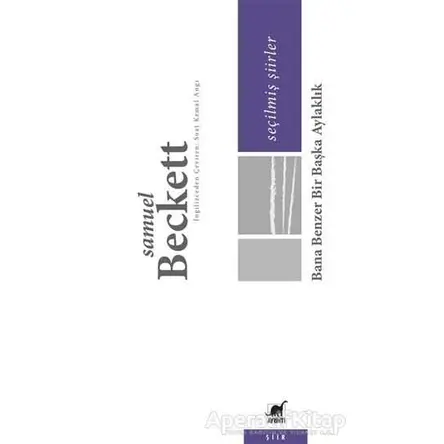 Seçilmiş Şiirler - Samuel Beckett - Ayrıntı Yayınları