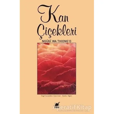 Kan Çiçekleri - Ngügi wa Thiongo - Ayrıntı Yayınları