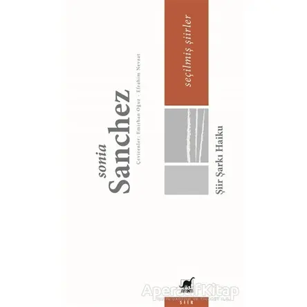Şiir Şarkı Haiku - Seçilmiş Şiirler - Sonia Sanchez - Ayrıntı Yayınları