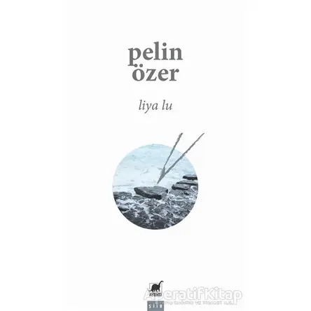 Liya Lu - Pelin Özer - Ayrıntı Yayınları