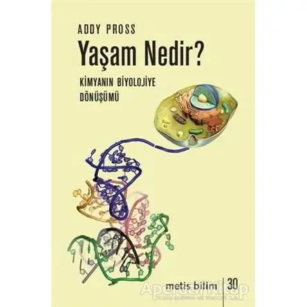 Yaşam Nedir? - Addy Pross - Metis Yayınları