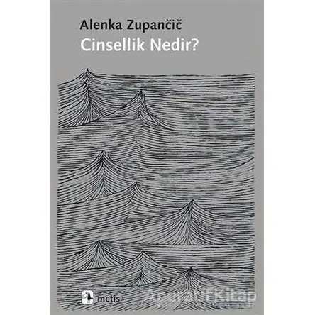 Cinsellik Nedir? - Alenka Zupancic - Metis Yayınları