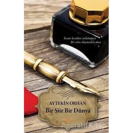 Bir Şiir Bir Dünya - Aytekin Orhan - Cinius Yayınları