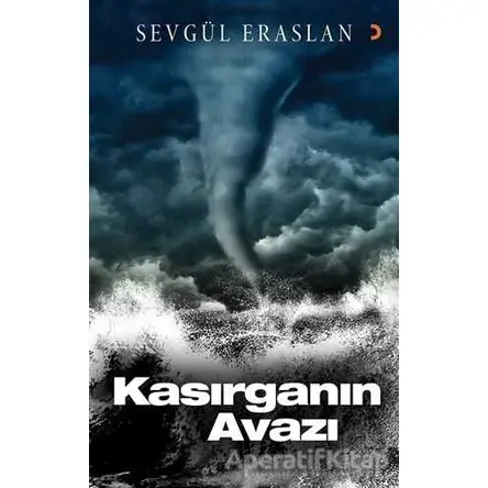 Kasırganın Avazı - Sevgül Eraslan - Cinius Yayınları