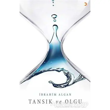 Tansık ve Olgu - İbrahim Algan - Cinius Yayınları