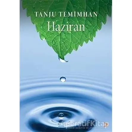 Bütün Sokaklar - Haziran - Sumru Temimhan - Cinius Yayınları