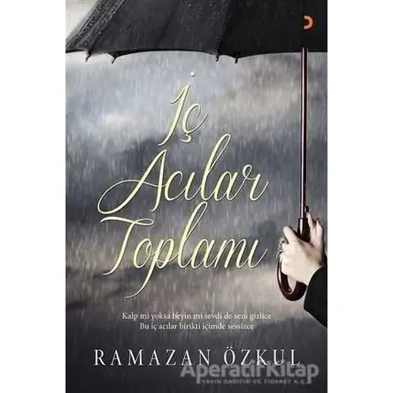 İç Acılar Toplamı - Ramazan Özkul - Cinius Yayınları