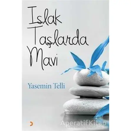 Islak Taşlarda Mavi - Yasemin Telli - Cinius Yayınları