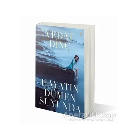 Hayatın Dümen Suyunda - Vedat Dinç - Cinius Yayınları