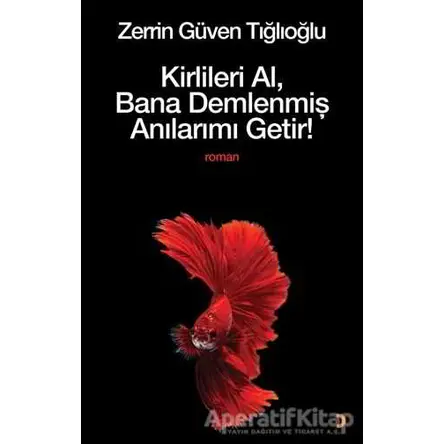 Kirlileri Al, Bana Demlenmiş Anılarımı Getir! - Zerrin Güven Tığlıoğlu - Cinius Yayınları