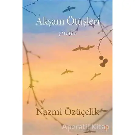 Akşam Ötüşleri - Nazmi Özüçelik - Cinius Yayınları