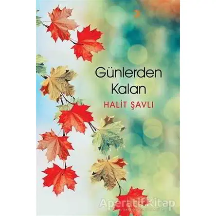 Günlerden Kalan - Halit Şavlı - Cinius Yayınları