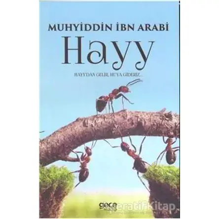 Hayy - Muhyiddin İbn Arabi - Gece Kitaplığı