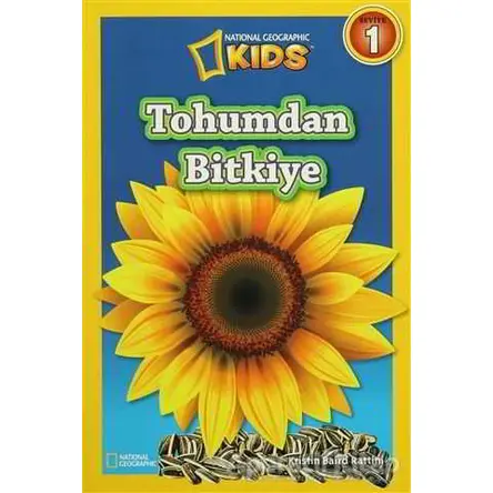 Tohumdan Bitkiye - Kristin Baird Rattini - Beta Kids
