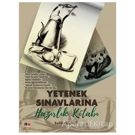 Yetenek Sınavlarına Hazırlık Kitabı - Salih Geçimli - Litera Türk