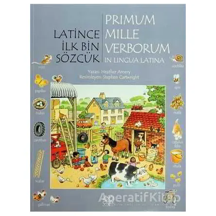 Latince İlk Bin Sözcük - Primum Mille Verborum In Lingua Latina