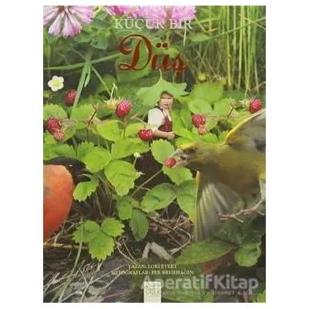Küçük Bir Düş - Lori Evert - 1001 Çiçek Kitaplar