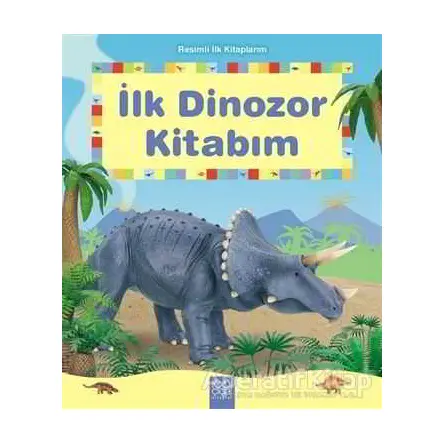 Resimli İlk Kitaplarım - İlk Dinozor Kitabım - Henri Van Wyk - 1001 Çiçek Kitaplar